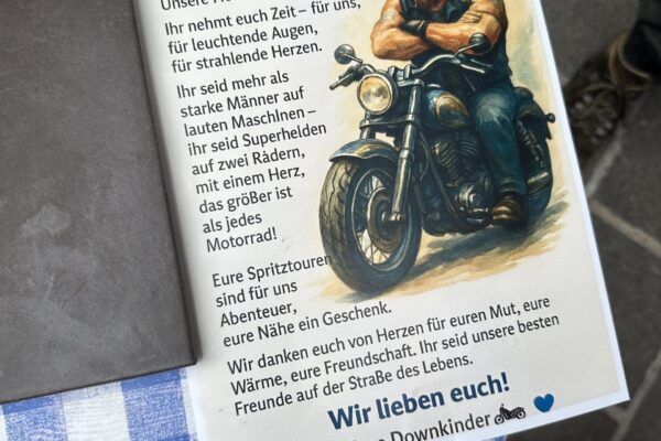 Treffen AEB & Harley Heads Juli 2025 (10)